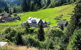 Прекрасные апартаменты в Карпатах